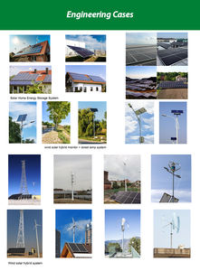 Générateur éolien vertical/horizontal 12V/24V 100-800W, pour l'alimentation hors réseau de la maison, du camping-car, de la cabane, prix d'usine - Product Image 5