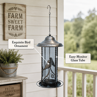 Mangeoire à oiseaux décorative avec tube transparent, ornement floral, cadre métallique, dôme, plateau à graines, chaîne de suspension, décoration de jardin, écologique, résistant à la rouille