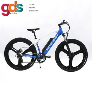 GDS Ebike M002 26 인치 250W 전기 자전거 hubless 전자 자전거 biciclett elettr 전기 산악 자전거 velo electrique