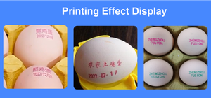 Máquina para Imprimir en Huevos con Precio Bajo, Impresora de Inyección de Tinta de Formato Ancho para Huevos/Máquina para Sellar Huevos con Fecha de Caducidad - Product Image 5