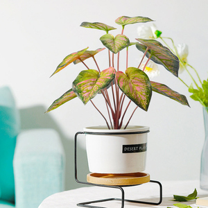 Adornos de Decoración para el Hogar de Estilo Nórdico, Palmera Areca Verde Arcoíris, Planta <span class=keywords><strong>Artificial</strong></span> de Plástico de Alta Simulación en Maceta, Bonsái - Product Image 1