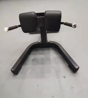 SENFENG SPORTS Hyper Back Extension Gym Banc Machine Commercial Gym Fitness Equipment