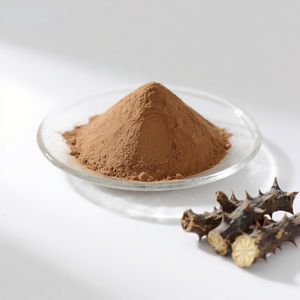 Pure 100% <span class=keywords><strong>Acanthopanax</strong></span> Senticosus Extrato Em Pó Premium Extrato De Planta - Product Image 4