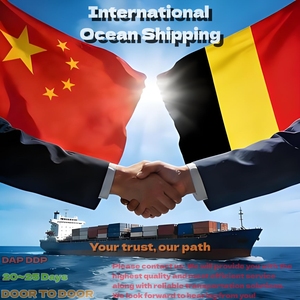 To BE/BELGIUM Cheapest Fastest FCL/LCL+Express/Trucking Double-clear Tax Ocean Shipping <strong>Logistics</strong> Door to Door DDP DAP Services - Product Image 1