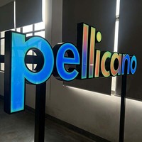 Enseigne commerciale autoportante à effet dynamique personnalisée par le fabricant, lettres LED RGB, éclairage publicitaire extérieur
