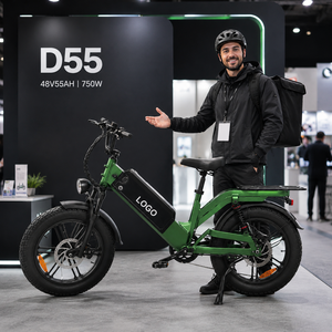 Bicicleta Eléctrica de Reparto Personalizada, 48V 55Ah, 240km de Autonomía, 750W, Neumáticos Anchos, Venta Directa de Fábrica para Repartidores - Product Image 1