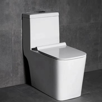 WC en céramique moderne et économique, résistant aux rayures, avec siphon en P et en S