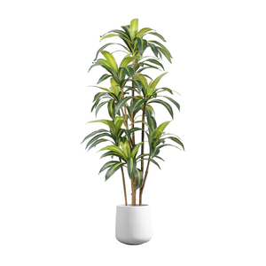 Plante artificielle en bois brésilien Dongguan Dream Castle, 100-200 cm, PVC, décoration intérieure, ornement pour salon - Product Image 5