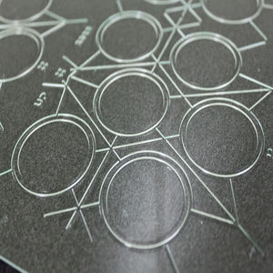 Verre optique Anole de haute qualité petit trempé pour instruments décoratifs sérigraphié optiquement personnalisable - Product Image 4