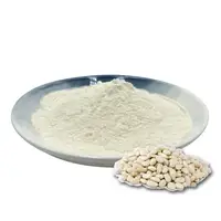백색 신장 콩 추출물 100% 제조자 공급 Phaseolin 백색 신장 콩 추출물