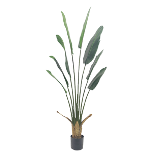 CHUANGFA 1,6 M Bonsai artificial Palma <span class=keywords><strong>del</strong></span> <span class=keywords><strong>viajero</strong></span> en forma de abanico en plástico para decoración de oficina o paisaje para cumpleaños Pascua - Product Image 1