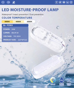 Vente en gros 24W IP65 Applique murale extérieure LED étanche à l'humidité Design ovale de luxe pour application de montage en surface - Product Image 5