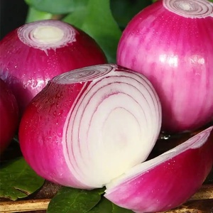 Trung Quốc tươi bóc vỏ hành tây hữu cơ hành tây trắng tỏi tươi hành tây đỏ vàng với số lượng lớn với túi lưới Xuất xứ giá tốt nhất - Product Image 4