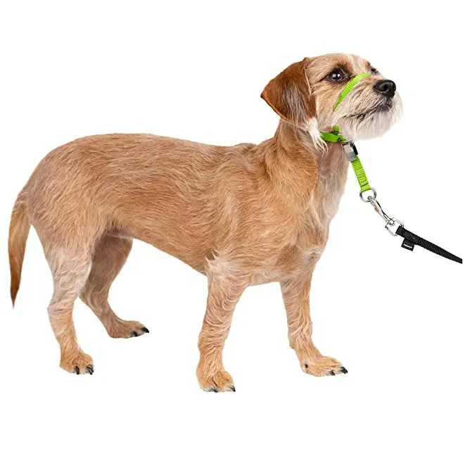 Desain Baru Kustom Kepala Pemimpin Lembut, Kerah Anjing Tanpa Tarikan Sempurna untuk Pelatihan Tali Kekang