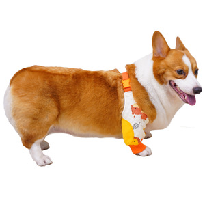 Protectores de codo y rodilla para Corgi, protectores de articulaciones para patas delanteras, protección contra el desgaste y el frío, ropa para mascotas, unisex, para las cuatro estaciones - Product Image 5