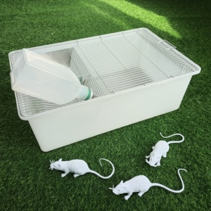 R5-type laboratorio di allevamento di ratti rack roditori gabbia da laboratorio per topi e criceti - Product Image 2
