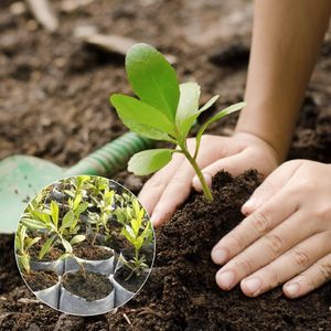 Bolsas <span class=keywords><strong>de</strong></span> cultivo <span class=keywords><strong>de</strong></span> <span class=keywords><strong>vivero</strong></span> <span class=keywords><strong>de</strong></span> <span class=keywords><strong>plantas</strong></span> <span class=keywords><strong>de</strong></span> <span class=keywords><strong>tela</strong></span> no tejida <span class=keywords><strong>de</strong></span> alta resistencia Capacidad personalizable <span class=keywords><strong>para</strong></span> el crecimiento <span class=keywords><strong>de</strong></span> plántulas <span class=keywords><strong>de</strong></span> <span class=keywords><strong>plantas</strong></span>-Precio <span class=keywords><strong>de</strong></span> fábrica Suministro <span class=keywords><strong>de</strong></span> jardín - Product Image 5
