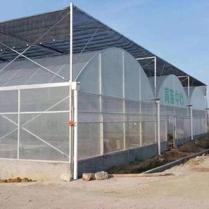 Serre agricole multi-spans de grande taille pour tomates, avec couverture en polycarbonate et structure métallique, <span class=keywords><strong>prix</strong></span> compétitif, horticulture YPWS YPLK-18 - Product Image 3