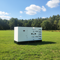 Groupe électrogène diesel Cummins silencieux de 132 kW 165 kVA pour machines d'ingénierie et alimentation de chantier