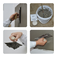 Poudre de polymère redispersable VAE, poudre d'émulsion pour carreaux de ciment, additif pour béton, adhésif pour carreaux de céramique, poudre RDP VAE
