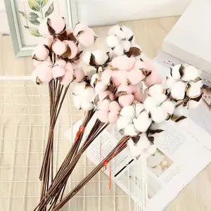 Großhandel Indoor natürliche getrocknete Baumwoll stiele Dekor künstliche Baumwolle Blume Zweig