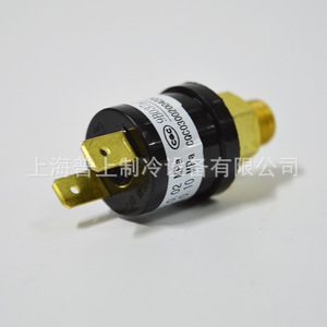 Contrôleur de pression Shanghai Junle H20PS 0,02 MPa Déconnexion 0,10 MPa Connexion Utilisation marine Sortie 1/4 po - Product Image 2