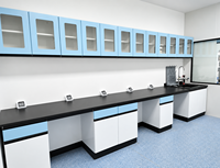 Armoire de rangement murale industrielle en acier SCEELAB pour laboratoire