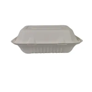 Biodegradable Bagasse Tomato Biodegradable Sugarcane Bagasse Food Container 9x6 Clamshell Compostable Container Bagasse Hinged Container