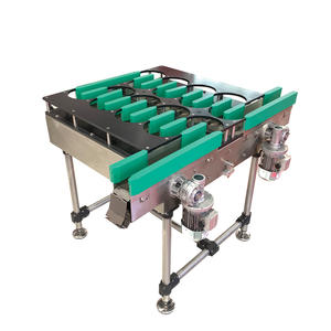 Transportador de Corrente Plana de Plástico/SUS304 para Garrafas / Bebidas / Perfumes / Indústria Alimentícia - Product Image 5