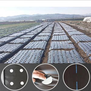 <span class=keywords><strong>Film</strong></span> de paillage plastique pour l'agriculture, les fruits, les légumes, le maïs, les aliments pour animaux, utilisé pour le jardin, le maintien de l'humidité - Product Image 6