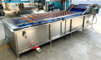 Automatische Lifting Type Luchtbellenwasmachine SUS304 Fruit- en Groentebellenreiniger voor voedselverwerkingslijnen