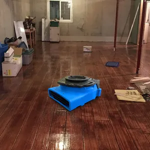 Équipement compact de nettoyage de tapis d'air de restauration de dommages de l'eau de profil bas