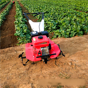 Motoculteur à deux roues pour l'agriculture, le déchaumage des vergers, le creusement de fossés et le désherbage - Product Image 4