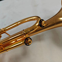 Professional Model Sanded Gold Plated Yellow Brass BB Trumpet with Imported Saturn Water Key