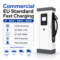 Station de recharge rapide CC CCS2 commerciale 60-120 kW, simple ou double connecteur, OCPP 1.6, 4G, IP54, pour projets de flotte et de parkings publics