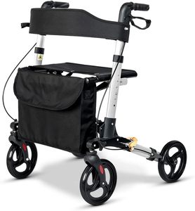 מייסון קל ארבעה גלגלים נסיעות רולטור ווקר - Product Image 1