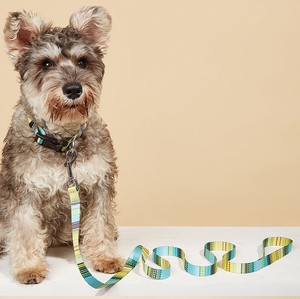 <strong>Dog</strong> Collar and Leash Set Bohemian Print Polyester Pet Lead Matching Collar Adjustable Two Piece Outfit for <strong>Dog</strong> Walking - Product Image 4