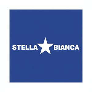 HSS rotativo Cutter Art. 25 Fig. 9 testa cilindrica raggio 0250092 testa divisoria stella bianca - Product Image 1