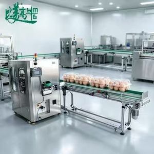 Máquina Automática de Escaneo Visual de Huevos con Módulo de Inspección de Etiquetas para Empaquetado Comercial de Huevos - Product Image 3