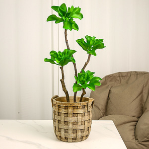 Plante artificielle en pot Yihua Floral Art, 70 cm, fleur en soie verte, décoration intérieure, accessoires de photographie en extérieur - Product Image 1