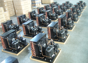 R134a LBP Nhỏ Máy Nén Đơn Vị Lạnh Phòng Lạnh Ngưng Tụ Đơn Vị - Product Image 3