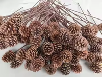Grosir Pabrik pinecone alami kualitas tinggi untuk ornamen natal properti menembak bunga kering