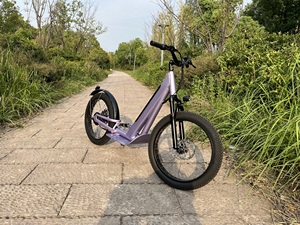 <span class=keywords><strong>Trottinette</strong></span> Électrique Tout-Terrain Sûre, Amortissant les Chocs, Rapide 40km/h avec Accélérateur - Product Image 3