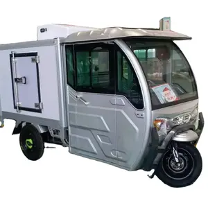 Refrigerated Tricycle 3 Wheel Truck Cargo Tipper Electric Tricycle With Refrigerated Box