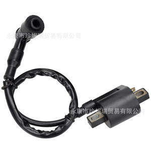 Bobine d'allumage Zhen Nirui CG125 150 200 250CC, transformateur haute tension pour ATV, karts, moto tout-terrain - Product Image 2