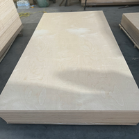 Panneau de contreplaqué en bois de bouleau massif de qualité AA, taille personnalisable (épaisseur 3-45 mm), design contemporain pour meubles et hôtels
