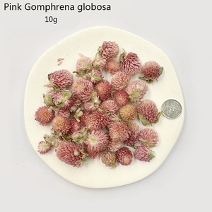 Natural Dried Fruits &amp; Flowers Galore: Unleash Your DIY <strong>Candle</strong> - Making Potential! - Product Image 5