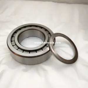 Hydraulic pump use Cylindrical Roller Bearing F-219593 Full Complement bearing F-202577