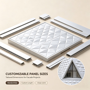 Murs rideaux en aluminium sur mesure, anodisés, anti-corrosion, pour les sites sportifs - Product Image 5