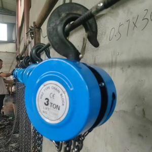 3t Hướng dẫn sử dụng chuỗi Palăng khối hợp kim chịu mài mòn xây dựng cần cẩu Xích vận hành bằng tay chenggang Thương Hiệu Bảo hành 1 năm - Product Image 1